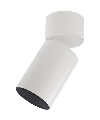 Eos A 20 Indoor Surface Mounted Luminaires Dlux Multidirectional Surface Mount Eos A 20 Indoor Surface Mounted Luminaires Dlux Multidirectional Surface Mount